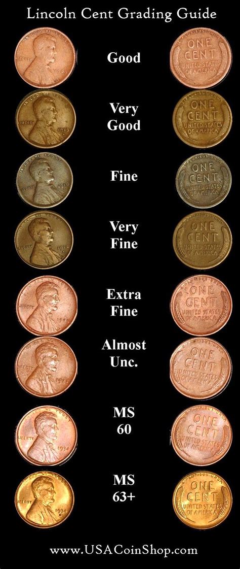 pic of pennies|pictures of all the coins.